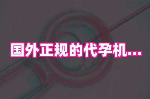 武汉助孕网 4